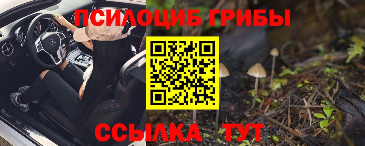 Галлюциногенные грибы мицелий Комсомольск-на-Амуре
